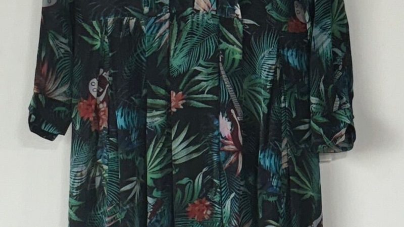 玉米种子如何选择？揭秘粮食种植厂家直销的关键要素**