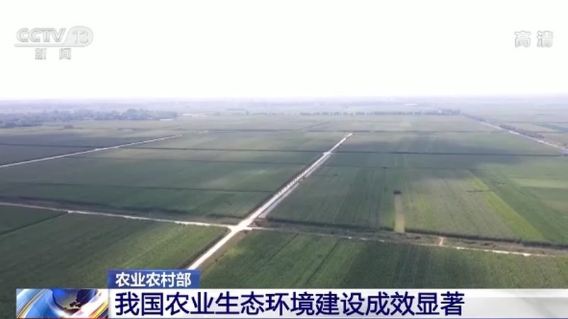 贵州蓝莓种植基地产量对比揭秘