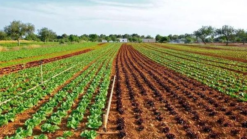 农业种植设备：如何选择性价比高的解决方案**