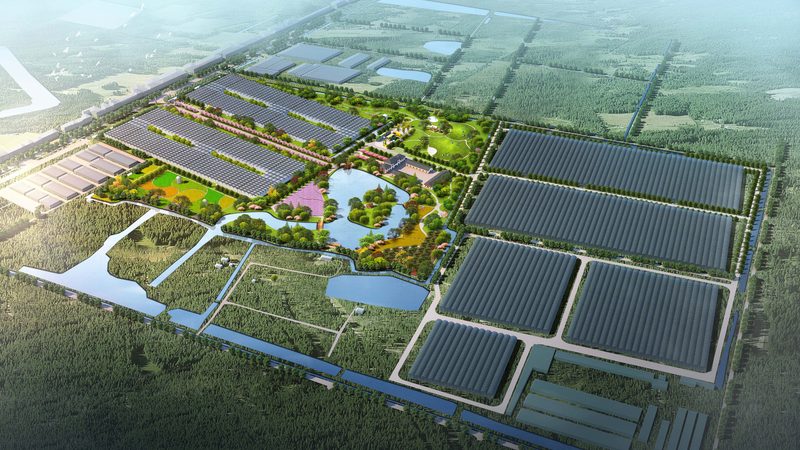 目前市场上常见的水肥一体化设备材质主要有以下几种：