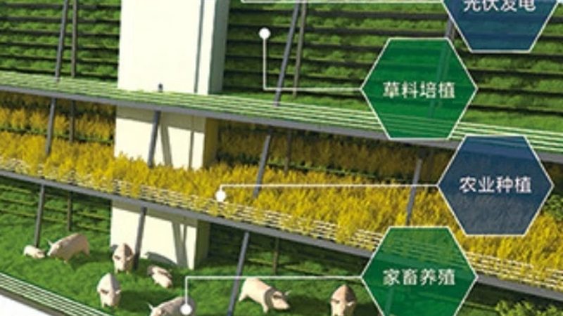 养殖专业合作社饲料供应商