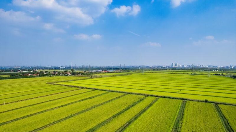 农资短视频获客技巧教程