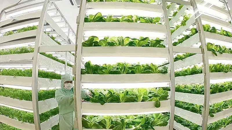农民专业合作社财务管理咨询报价