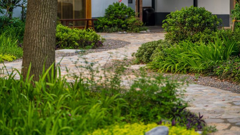 小麦玉米无人机植保，为什么价格差三倍