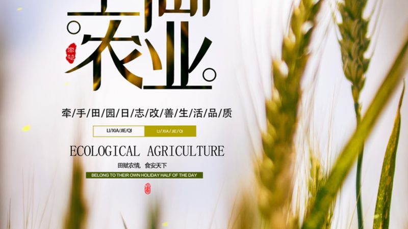 绿色食品认证标准有效期规定